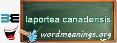 WordMeaning blackboard for laportea canadensis